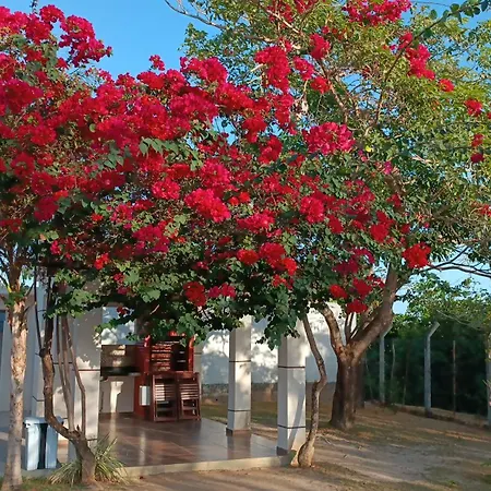 House Praia Sao Jose de Ribamar Exterior photo