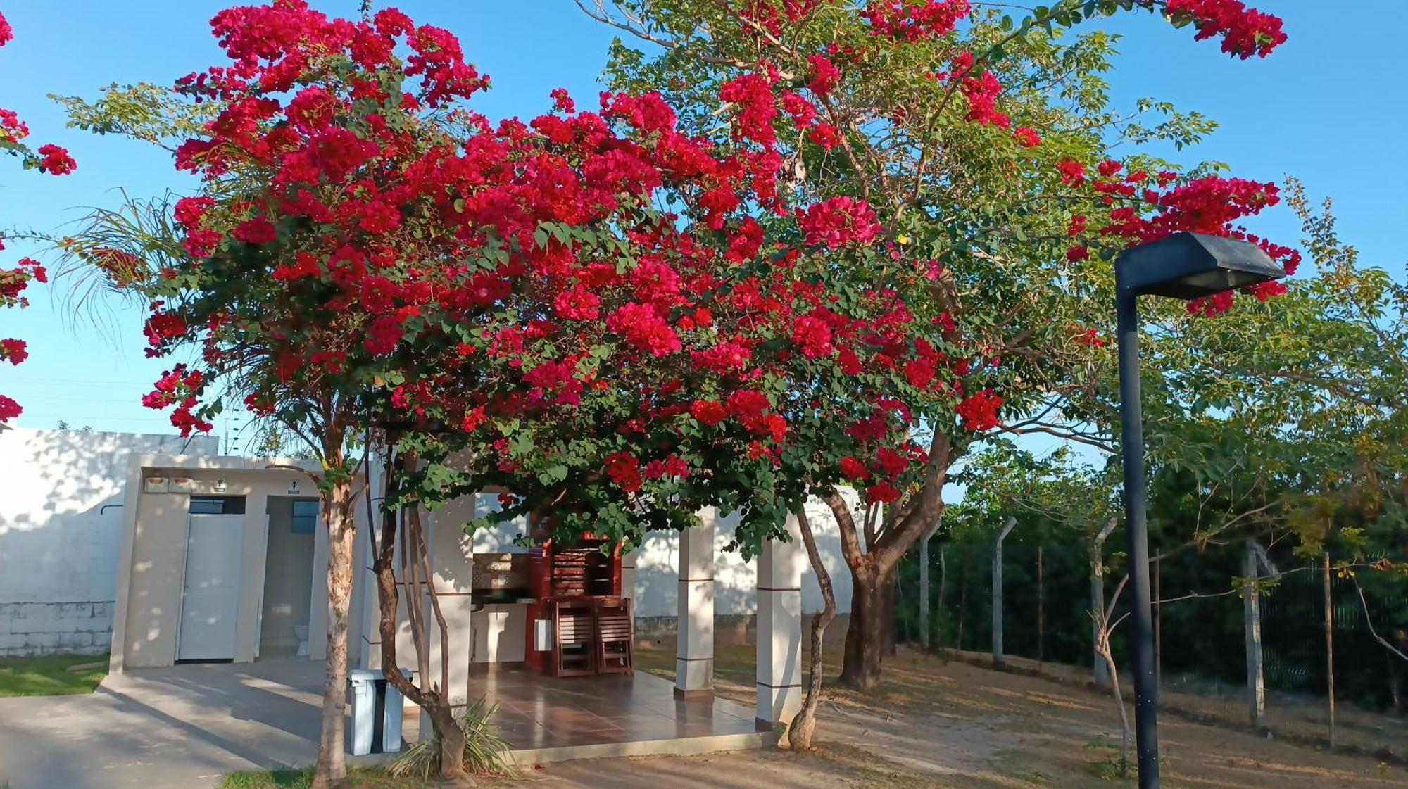 House Apartment Sao Jose de Ribamar