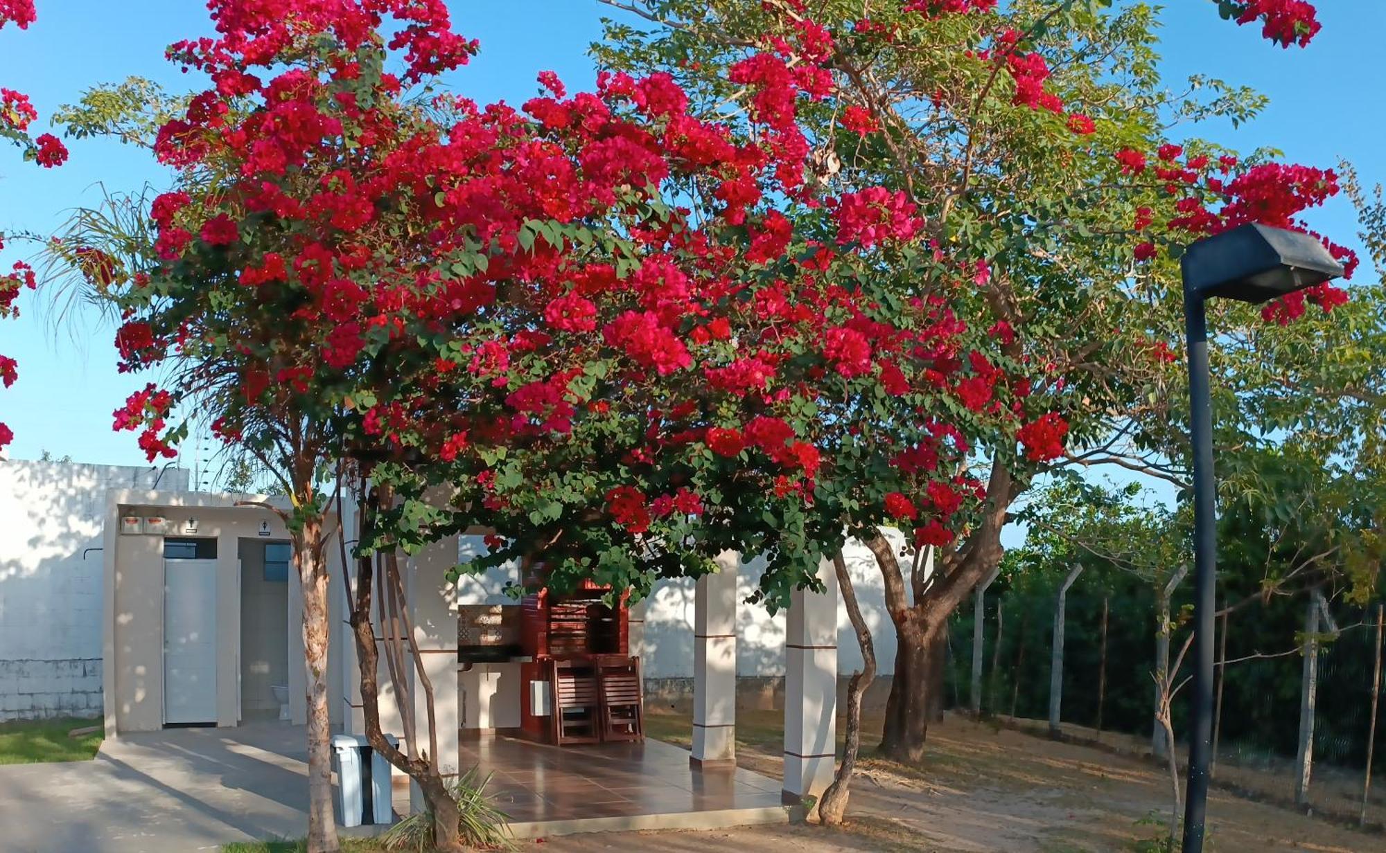 House Sao Jose de Ribamar